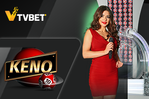 509bet luidy cassino on-line