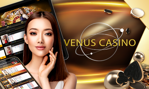 509bet hacker slot cassino entretenimento