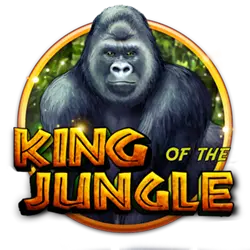 509bet sporting bet cassino entretenimento